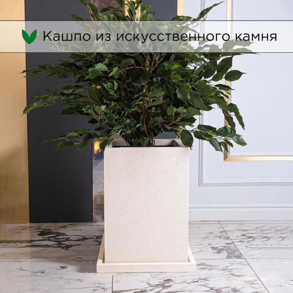 Evabrick Cube 51 л, 50*35 см, 17.5 кг, бежевый, куб с поддоном
