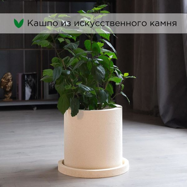 Evabrick Cylinder 17 л, 30*30 см, 9 кг, бежевый, цилиндр с поддоном