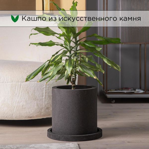 Evabrick Cylinder 17 л, 30*30 см, 9 кг, черный, цилиндр с поддоном