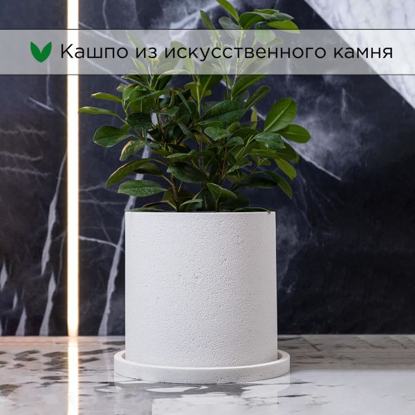 Evabrick Cylinder 5 л, 20*20 см, 3.5 кг, белый, цилиндр c поддоном