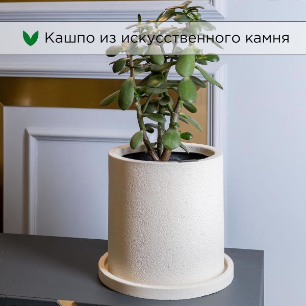 Evabrick Cylinder 5 л, 20*20 см, 3.5 кг, бежевый, цилиндр c поддоном