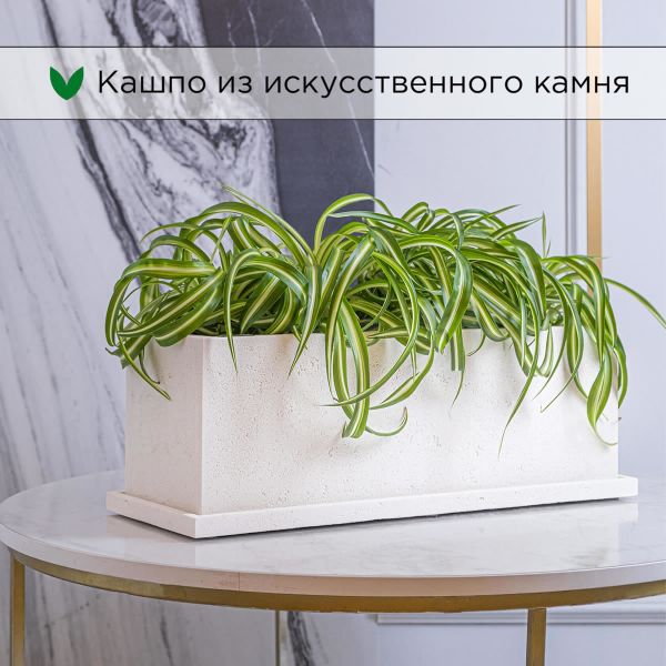 Evabrick Rectangle 9 л, 17*50 см, 8 кг, бежевый, прямоугольник с поддоном