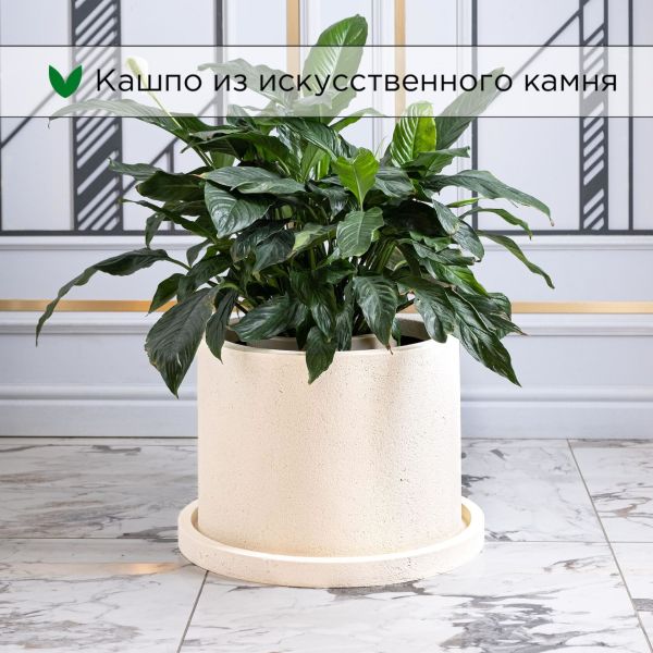 Evabrick Cylinder 31 л, 30*40 см, 13 кг, бежевый, цилиндр с поддоном